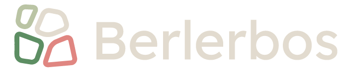 Dirk Luijendijk Logo